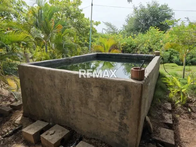 Venta Granja agrícola vía los Bucares Mcbo Zulia - 8