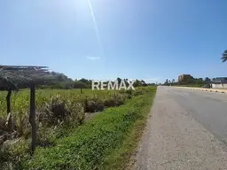 Vista 4