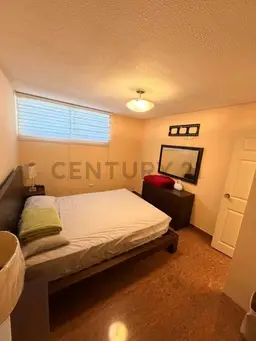Vista 24