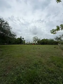View 3