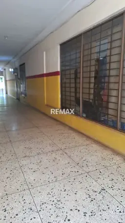 Vista 5