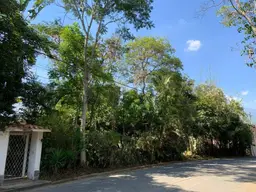 View 13