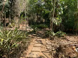 View 3