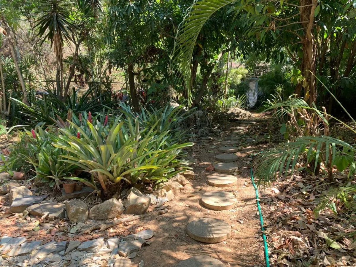 Terreno de 2.053m2 en Venta en Cerro Verde - 5