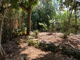 View 6