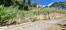 Vista 7