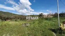 Vista 6