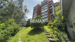 Vista 19