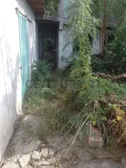 View 1