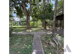 Vista 4