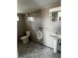 Vista 18