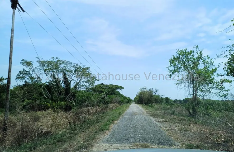 Terreno (Comercial) en Venta en Belencito, Miranda - 2