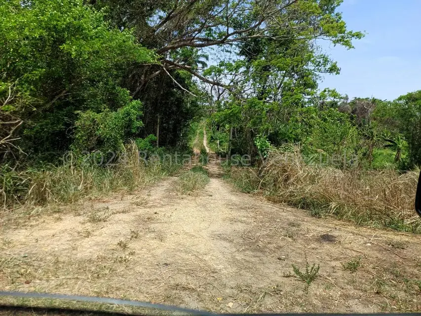 Terreno (Comercial) en Venta en Belencito, Miranda - 3