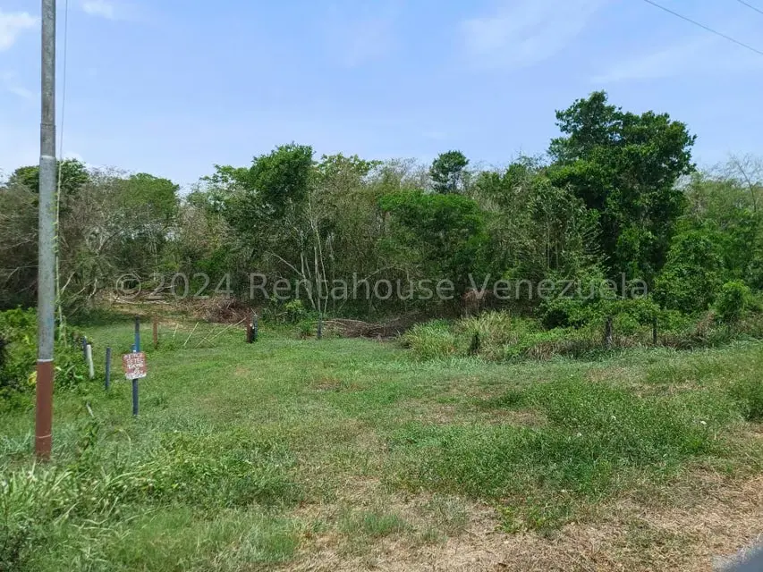 Terreno (Comercial) en Venta en Belencito, Miranda - 4