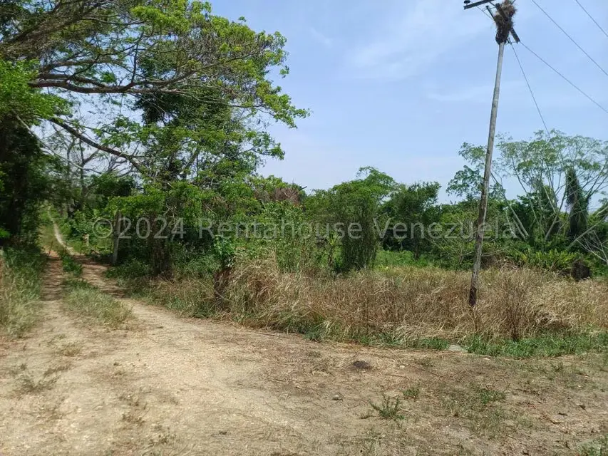 Terreno (Comercial) en Venta en Belencito, Miranda - 6