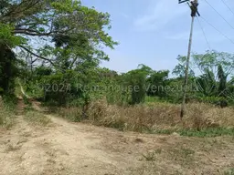 View 6