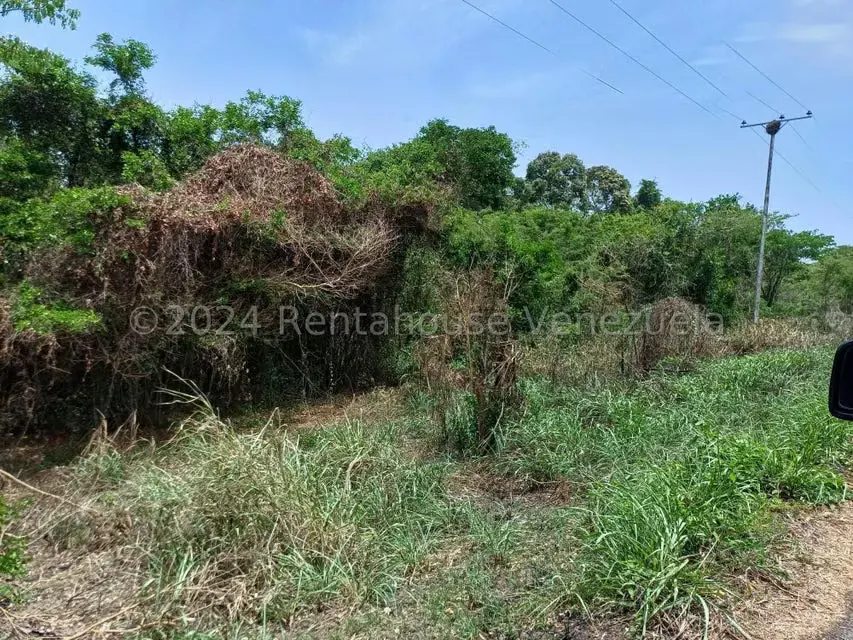 Terreno (Comercial) en Venta en Belencito, Miranda - 7