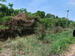 View 7