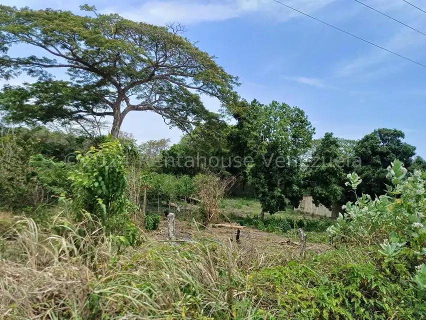 Terreno (Comercial) en Venta en Belencito, Miranda - 8