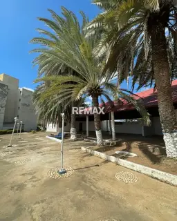 Vista 1