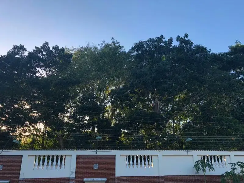 Casa (Contemporaneo) en Venta en El Mangle, Sucre - 14