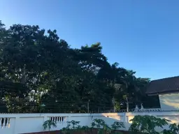 View 27