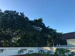View 31