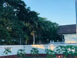 View 40