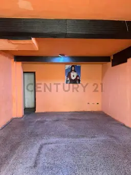 Vista 6