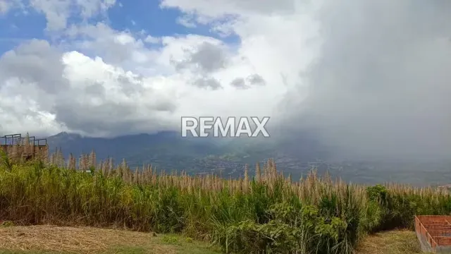 TERRENO EN VENTA EN EL ABEJAL - 5