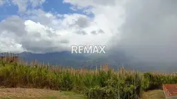 Vista 5