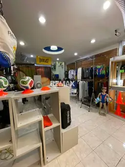 Vista 4