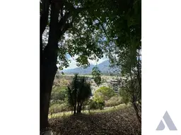 View 14