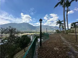View 15