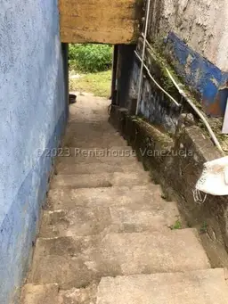 Vista 18