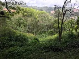 Vista 21