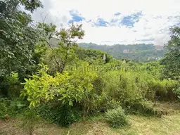Vista 6