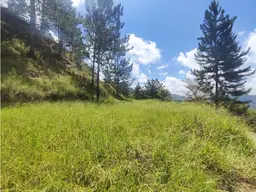 View 4