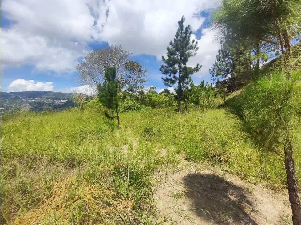 Venta terreno Monte Elena 23.061m2 - 5
