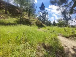View 7