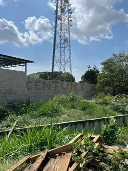 View 12