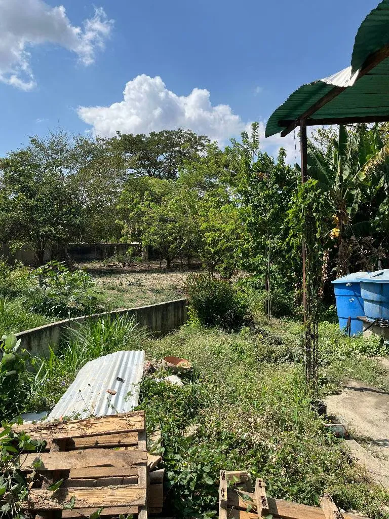 Venta Bienechuria (comercio Ferreteria, local ) San Diego, terreno Ejido. - 13