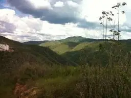Vista 8