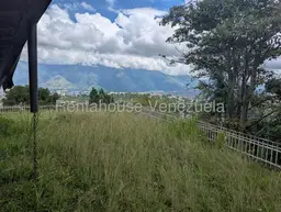 View 14