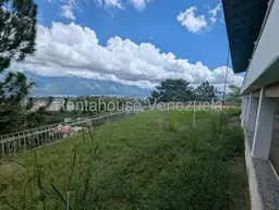 View 42