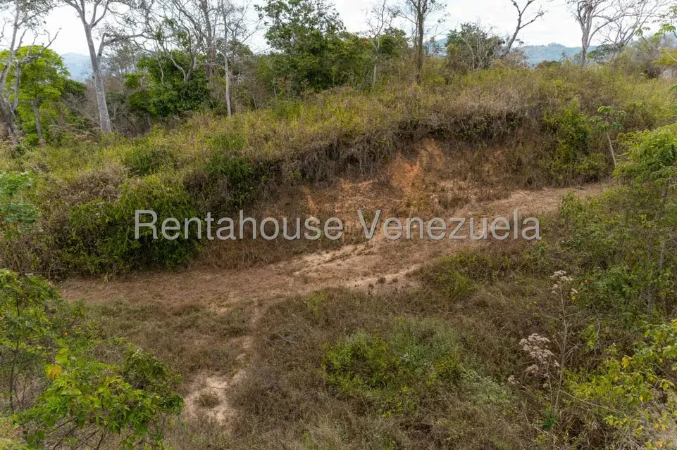 Terreno (Residencial) en Venta en Sabaneta, Distrito Metropolitano - 11