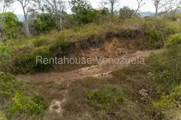 View 11