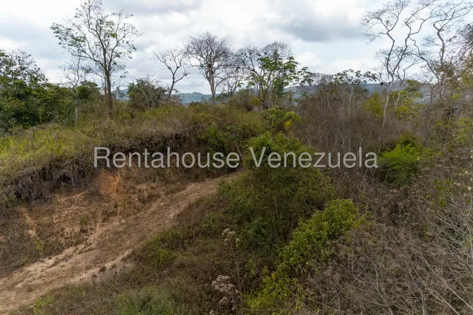 Terreno (Residencial) en Venta en Sabaneta, Distrito Metropolitano - 12