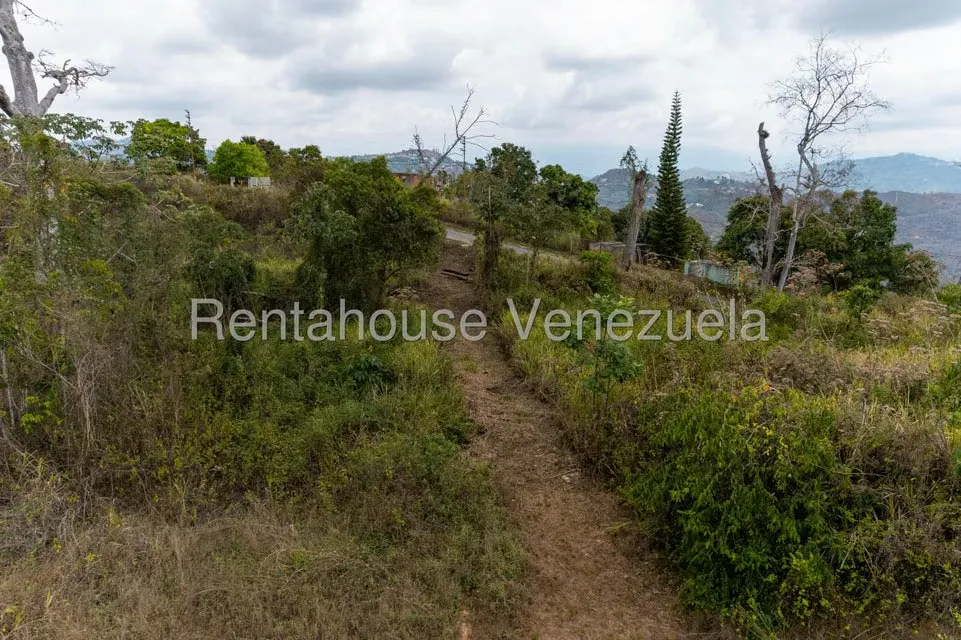 Terreno (Residencial) en Venta en Sabaneta, Distrito Metropolitano - 13