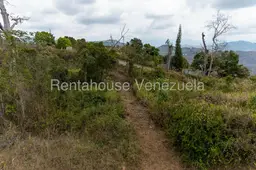 View 13